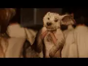 Milly Alcock Stars in 'Supergirl' Official Teaser, Directed by Craig Gillespie