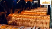 Mutual Funds Push for Copper and Industrial Metal ETFs, Face Storage and Regulatory Hurdles