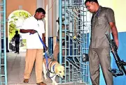 Mysuru Police Dog Squads Crack Over 900 Cases in Five Years