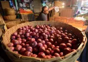 Mysuru's Sambar Onion Crisis: Cultivation Plummets as Farmers Face Price Collapse