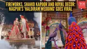 Nagpur's Haldiram Wedding: Royal Decor, Shahid Kapoor's Sangeet, and Fireworks Go Viral