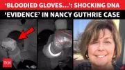 Nancy Guthrie Kidnapping: Second Suspect Seen on Ring Camera? Blood Found on Rock