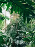 Nature's Oddities: From Corpse Flowers to Upside-Down Trees