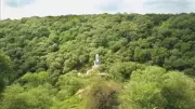 NBWL Panel Approves Irrigation Project in Durgavati Tiger Reserve After 3-Year Delay