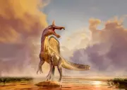 New Giant Spinosaurus Species Fossils Discovered in Niger, Africa
