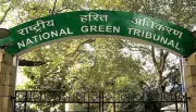 NGT Directs Restoration of Green Planter Areas in Delhi's Vasant Kunj