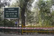 Noida Residents Oppose Temple Construction in Sector 15A's Vrindavan Park