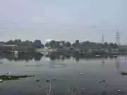 Noida's Sewer-Filled Vacant Plot Poses Severe Health and Safety Hazard