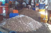 Odisha's Seafood Export Sector Boasts 62 Exporters, 45 Processing Plants