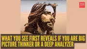 Optical Illusion Test: Giraffes or Man's Face Reveals Your Thinking Style