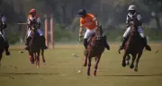 Optiemus, V Polo, Jaipur Leela Triumph in Leela Maharaja Sawai Man Singh Polo Cup