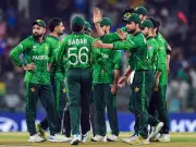 Pakistan Coach Mike Hesson Laments Missed Chance After India's T20 World Cup Victory