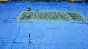 Pallekele Pitch Report: How Will Surface Play for AUS vs OMN T20 World Cup Clash?