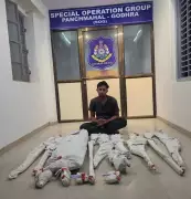 Panchmahal Police Seize Stolen Shotguns, Air Guns in Godhra Raid