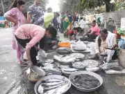 Patna Municipal Corporation Launches Geotagging Survey for Meat and Fish Shops