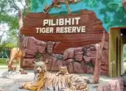 Pilibhit & Dudhwa Tiger Reserves Ban Mobile Phones to Protect Wildlife