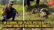 Plastic Found in Elephant Dung in Karnataka's Shola Forests Signals Environmental Crisis