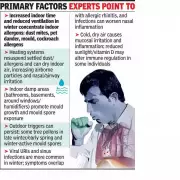 Pune Doctors Report Surge in Winter Allergies Due to Pollen and Pollution