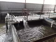 Pune's River Crisis: Sewage Treatment Failures Threaten Public Health