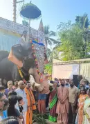 Robotic Elephants Debut at Kerala Temples, Replacing Live Animals in Festivals