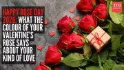 Rose Day 2024: The Secret Language of Rose Colors Revealed