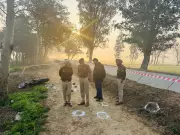 Sarpanch Murder Case: Key Accused Injured in Police Encounter Near Tarn Taran