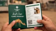 Saudi Arabia Launches 'Camel Passport' Digital System to Modernize Livestock Sector