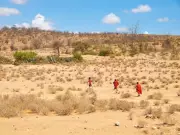 Severe Drought in Kenya Causes Widespread Hunger, Over 2 Million Affected