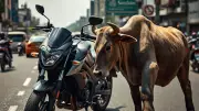 Software Engineer Critically Injured After Bike Collides with Stray Bull in Noida