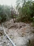 Sujanpur Residents Await Relief for Monsoon-Damaged Streets and Homes