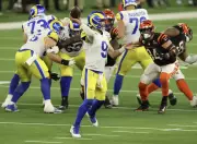 Super Bowl Attendance Analysis: 2025 vs 2026 Stadium Capacity & Fan Experience