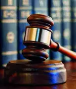 Supreme Court Grants Goa NGO 2 Weeks to Respond on Tiger Reserve Proposal