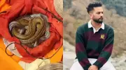 Supreme Court to Examine Wildlife Act Complaint Against YouTuber Elvish Yadav in Snake Venom Case