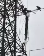 Tamil Nadu CM Stalin Inaugurates Rs 1,971 Crore Energy Projects Across State