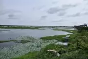 Telangana's Ramsar Site Quest: Why the State Lacks International Wetland Recognition