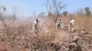 Telangana's Tech-Driven Forest Fire Strategy Cuts Incidents by 50%