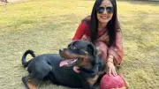 TMC MP Mahua Moitra Moves Delhi HC in Custody Battle Over Pet Rottweiler Henry