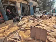 Truck Tilt on Ludhiana Bridge Spills Wheat Sacks, Crushing Two Cars Below