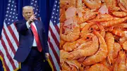 Trump's Tariff Reduction Revives Andhra's Shrimp Industry, Offering Hope to Aquafarmers