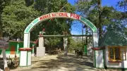 Two Forest Staff Injured in Wild Buffalo Attack at Assam's Manas National Park