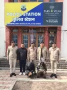 Two Theft Cases in Kasauli Within Days, Police Arrest Two Suspects