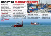 Union Budget 2024: Duty-Free Fish from EEZ to Boost Andhra's Marine Exports