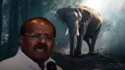 Union Minister Kumaraswamy Vows to Tackle Wild Elephant Menace in Karnataka