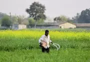 UP Plans E-Commerce App for Fertilizer Delivery to End Farmer Queues