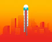 Urban Heat Island Effect Intensifies City Temperatures, Demands Action