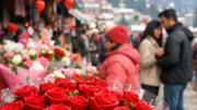 Valentine's Day 2026: Red Roses Hit Rs 100 Each in Shimla Amid High Demand