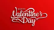 Valentine's Week 2026: Complete List of Love Days from Rose Day to Valentine's Day