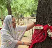 Vasundhara Raje Backs Khejri Bachao Andolan, Seers Begin Indefinite Hunger Strike