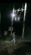 Viral Video Shows Man Climbing Power Pole to Restore Electricity in Gujarat Village