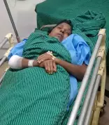 Wild Boar Attack Injures Two Women Workers in Idukki's Nedumkandam